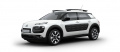 C4 Cactus